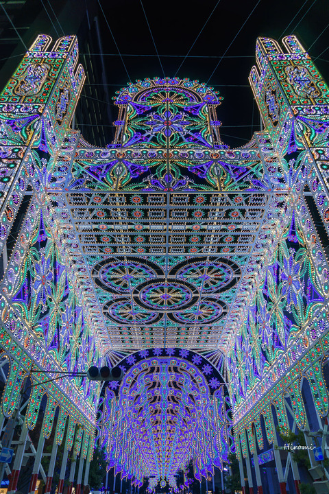 lr blog Luminarie-05998
