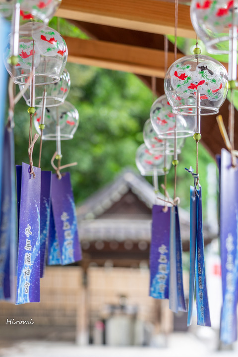 lr blog Minasejingu-05517