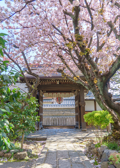 lr blog Uhoin-03013