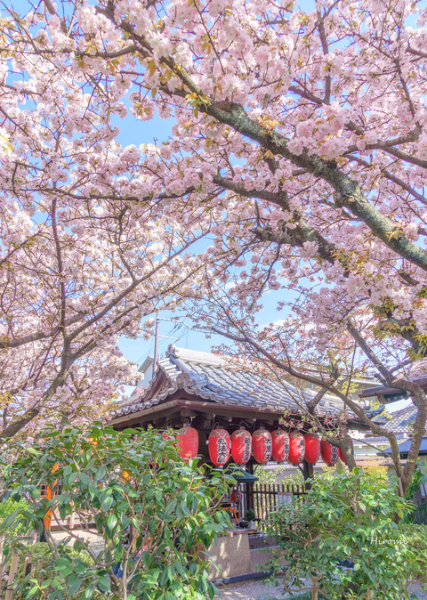 lr blog Uhoin-03020