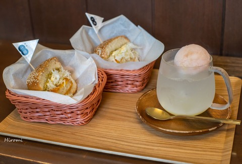 lr blog Yamasakamaboko -07959