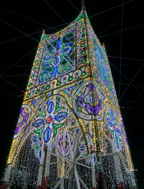 lr blog Luminarie-06035