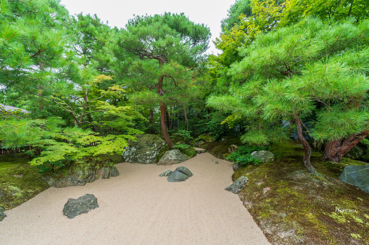 大山からも行きやすい 島根おすすめ観光スポット 大人のための絶景アドベンチャー 大山からも行きやすい 島根おすすめ観光スポット 大人のための絶景アドベンチャー