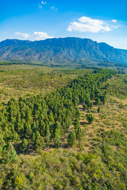 lr blog near Blyde River Canyon from heli-04269