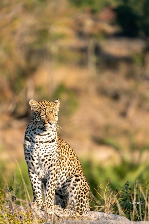 lr blog Kruger-01878