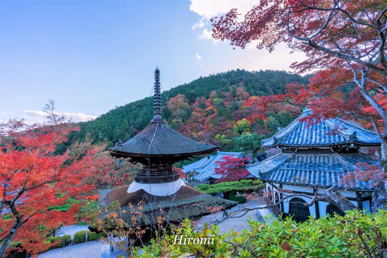 京都の紅葉スポット 人気の桂坂も 京都市西京区5選 大人のための絶景アドベンチャー