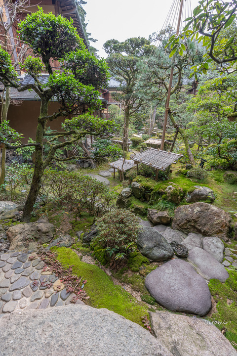 lr blog nishimiraya-01893