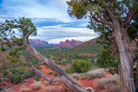 lr blog sedona Cathedral rock fr golf course-08064