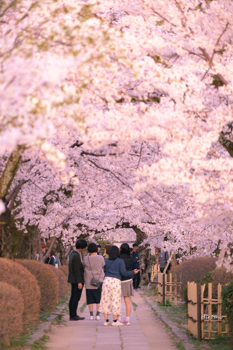 lr blog Tetsugakunomichi-06394