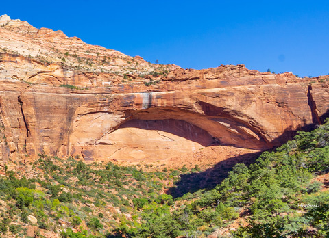 lr blog Zion-00456