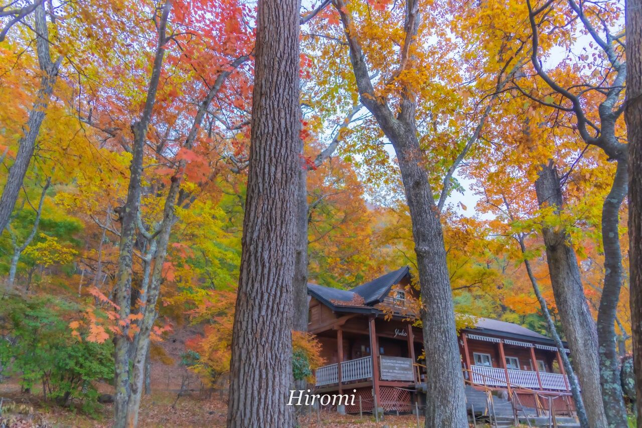 紅葉も絶景 一度は泊まりたい奥日光のクラシックホテル 中禅寺金谷ホテル 大人のための絶景アドベンチャー 紅葉も絶景 一度は泊まりたい奥日光のクラシックホテル 中禅寺金谷ホテル 大人のための絶景アドベンチャー