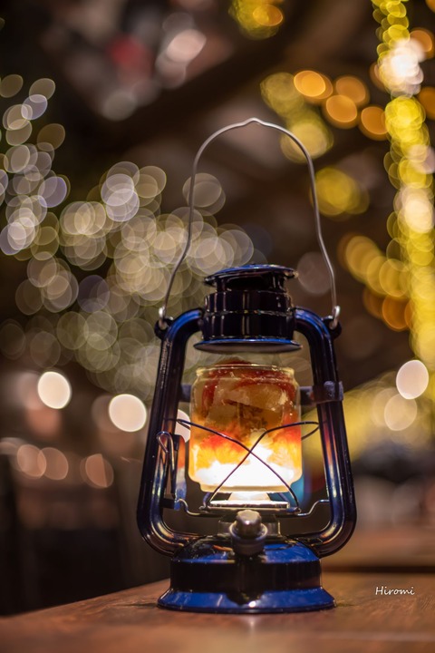 lr blog Lamp parfait-01132