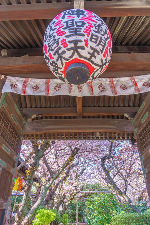 lr blog Uhoin-03032