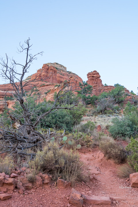 lr blog Sedona Boynton Canyon-08906