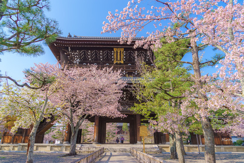 lr blog Konkaikomyoji-05448