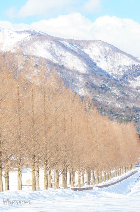 lr blog Makino-01789-2 2018-02-06