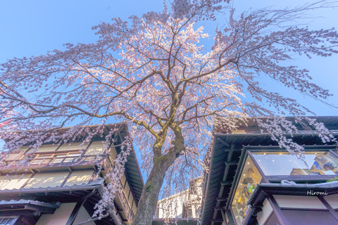lr blog Sannenzaka-02132