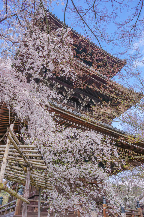 lr blog Shinnyodo-02451