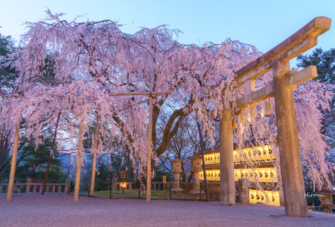 lr blog Oishijinja-05338