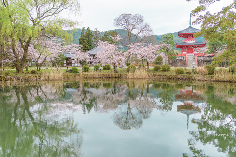lr blog Daikakuji-01442