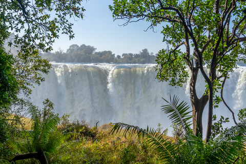lr blog Victoria falls Zimbabue-04953