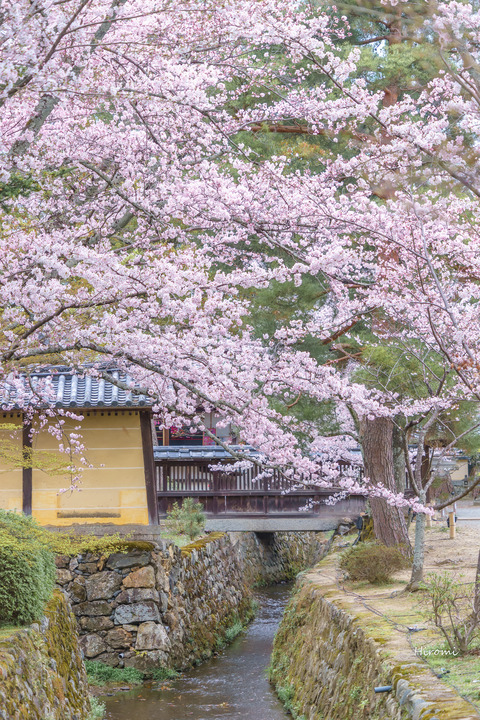 lr blog Daikakuji-