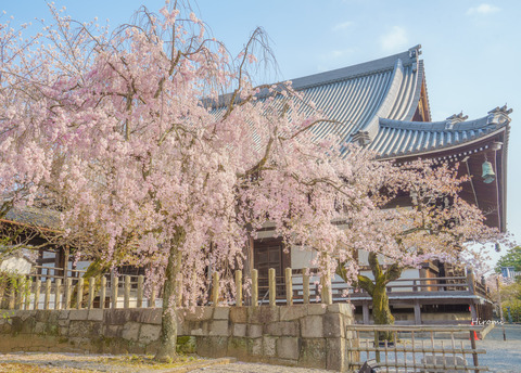 lr blog Myokenji-06914
