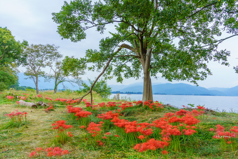lr blog Katsurahama 2019-10-02-01761