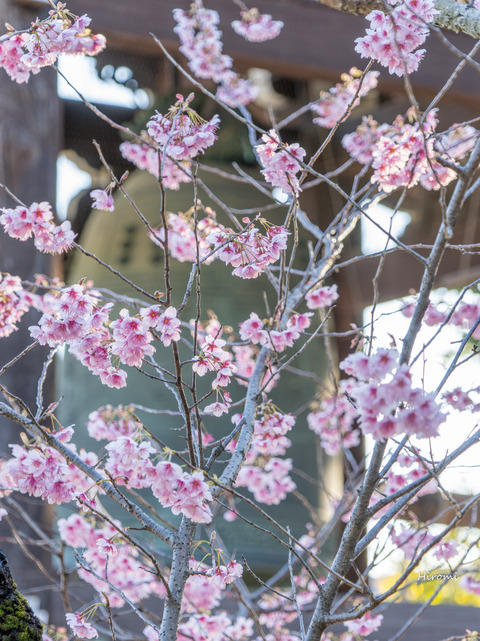 lr blog Chionji-00956