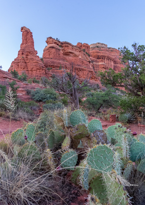 lr blog Boynton Canyon Enchantment-08917