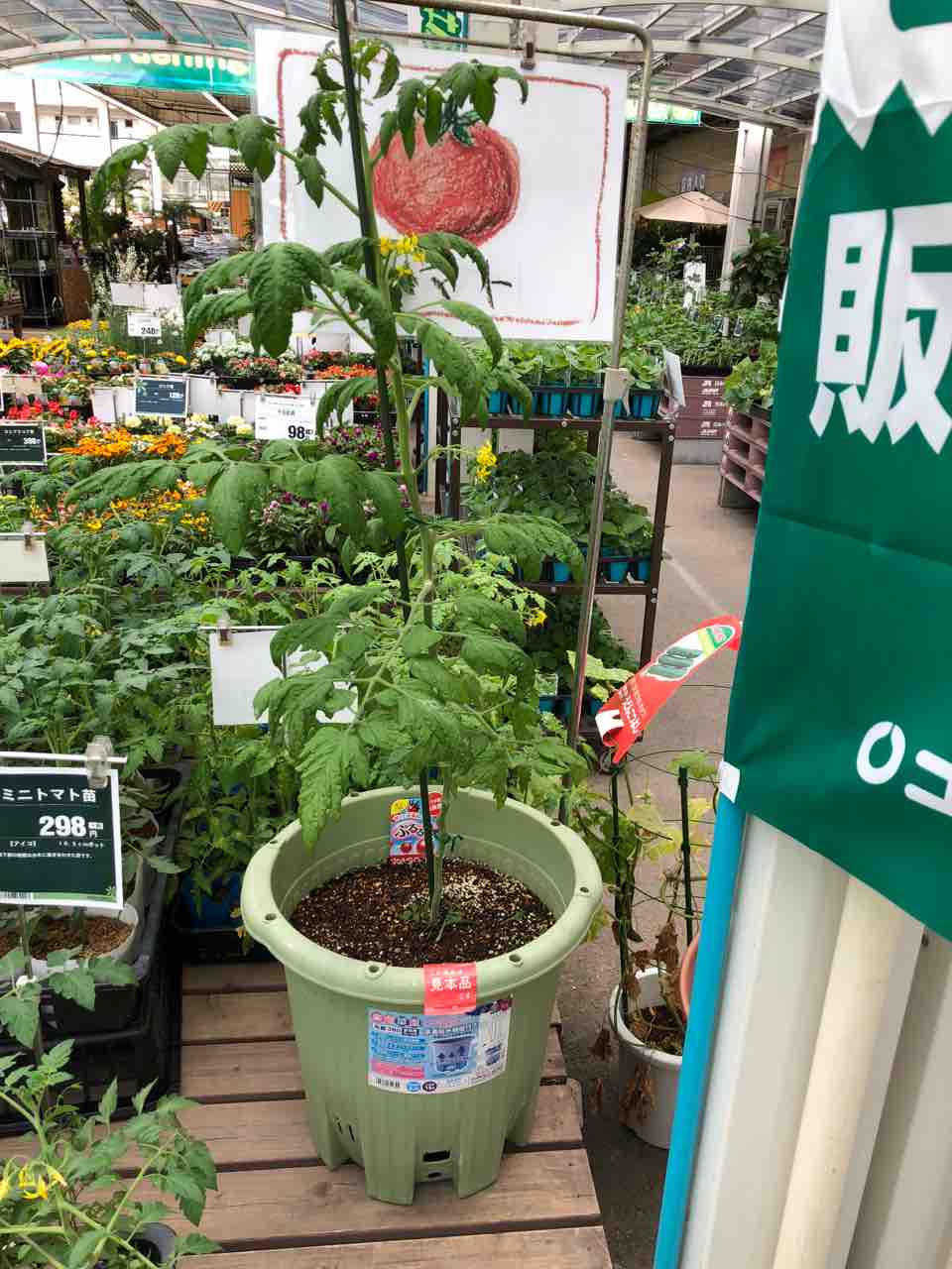 買い出し編 ミニトマトの家庭菜園をはじめてわかった悩みポイント 施工管理ベンチャー社員ブログ 買い出し編 ミニトマトの家庭菜園をはじめてわかった悩みポイント 施工管理ベンチャー社員ブログ