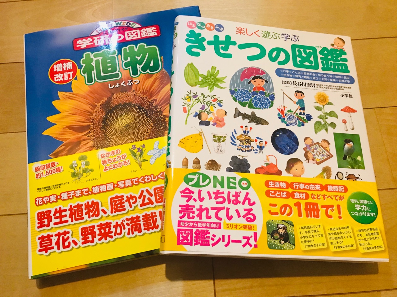 外出自粛中 娘たちが夢中になっているもの ひろんの婚活 恋愛必勝法 Powered By ライブドアブログ