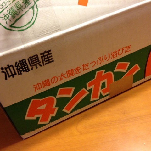 photo:02