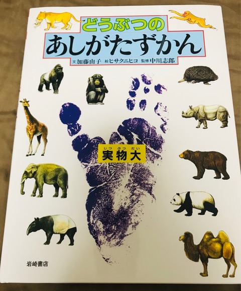 最近のヒット作！絵本感覚で読める図鑑(o^^o)