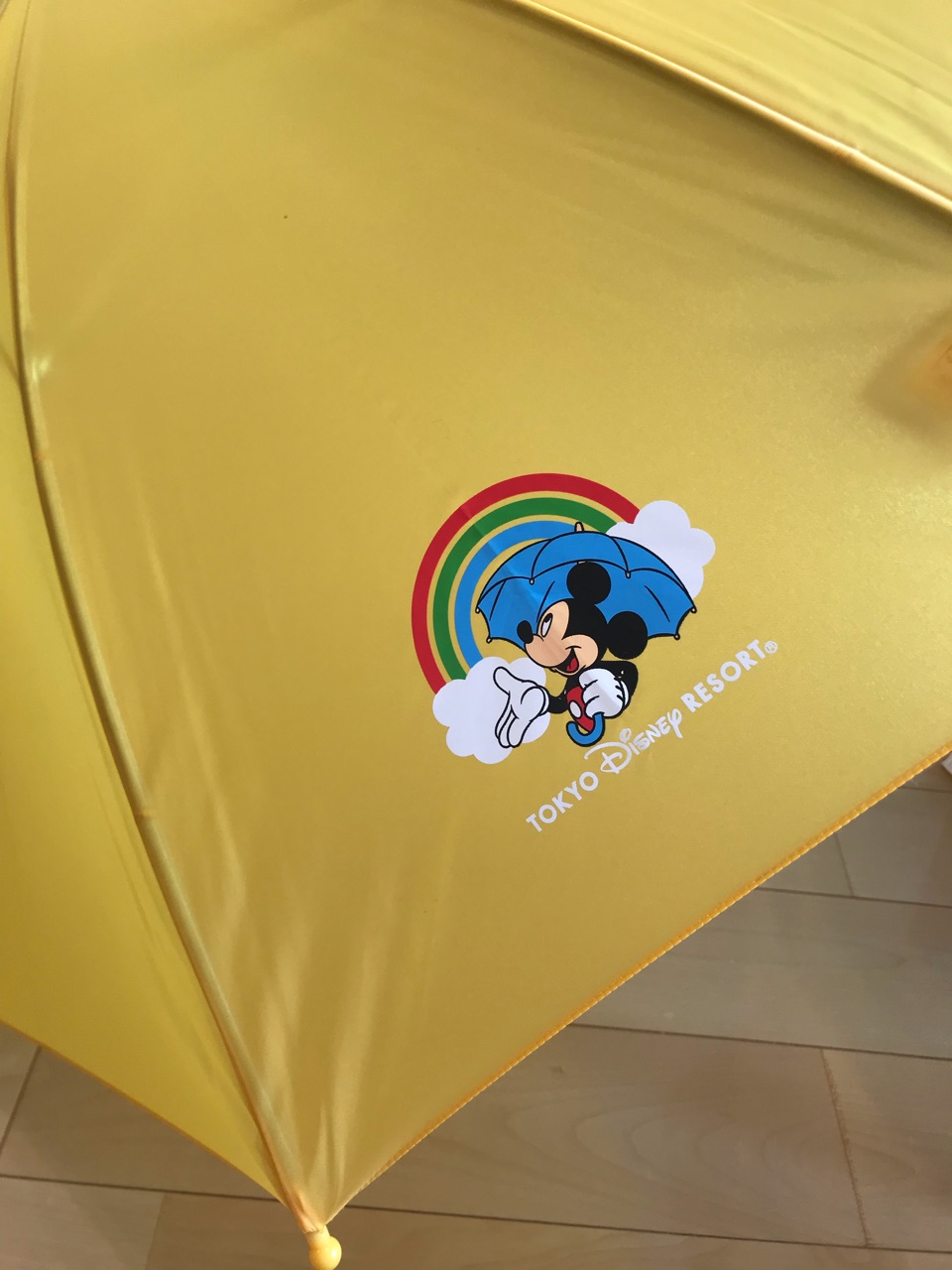 ディズニーグッズにしては すごくリーズナブルな子供傘 ひろんの婚活 恋愛必勝法 Powered By ライブドアブログ ディズニーグッズにしては すごくリーズナブルな子供傘 ひろんの婚活 恋愛必勝法 Powered By ライブドアブログ