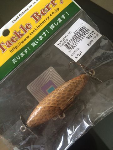 カッパーヘッドジャンパー : 今日のあの池