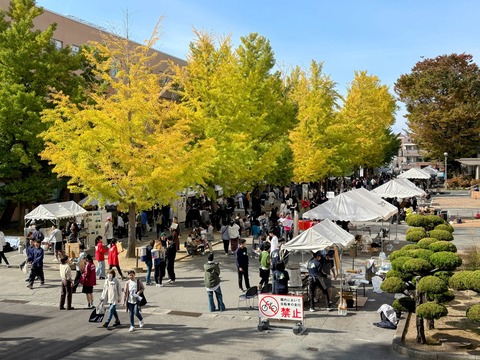 銀杏