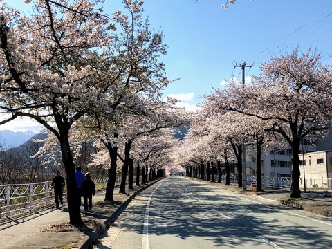 トンネル