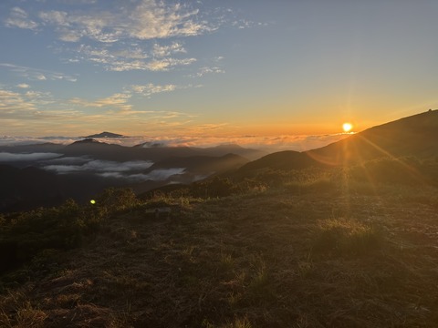 🌅