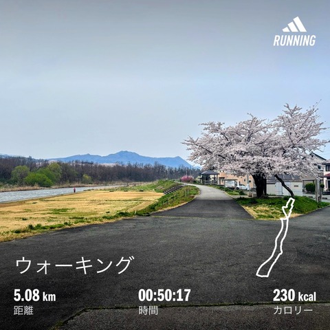 パトウォーキング