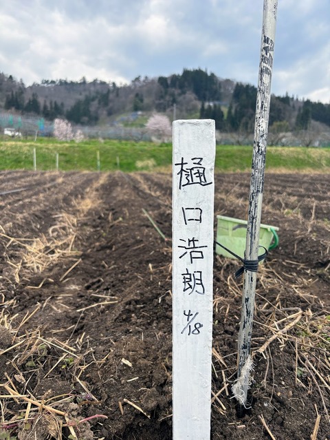 ひぐ