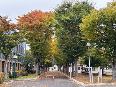 工学部