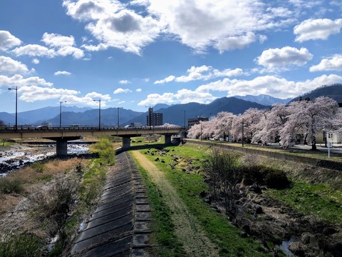 芋に下