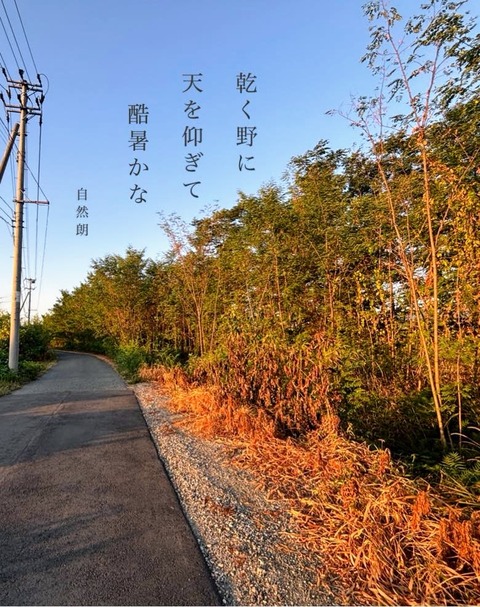 俳句