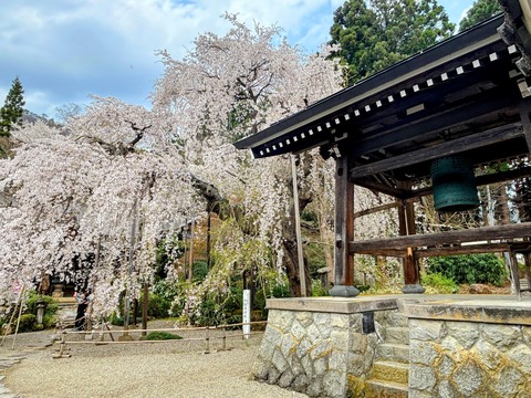 平泉寺1