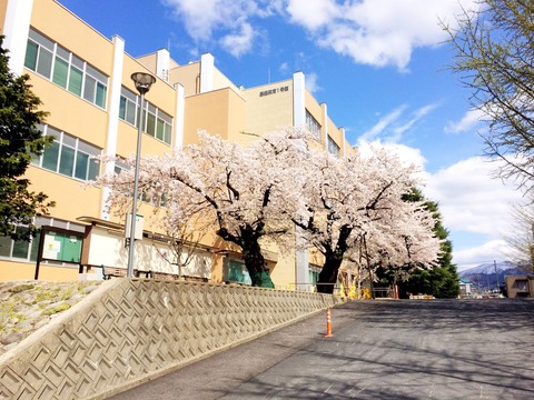 教養坂