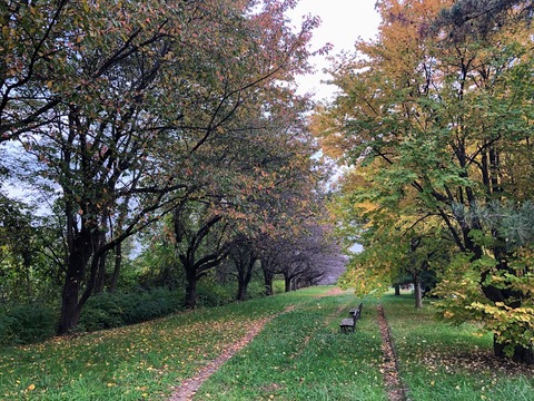 蔵王美原公園