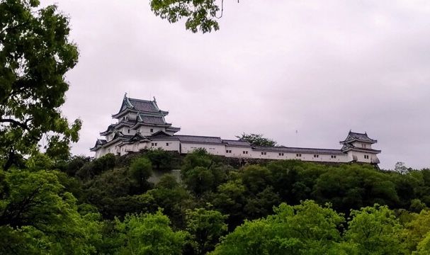 イメージ 1