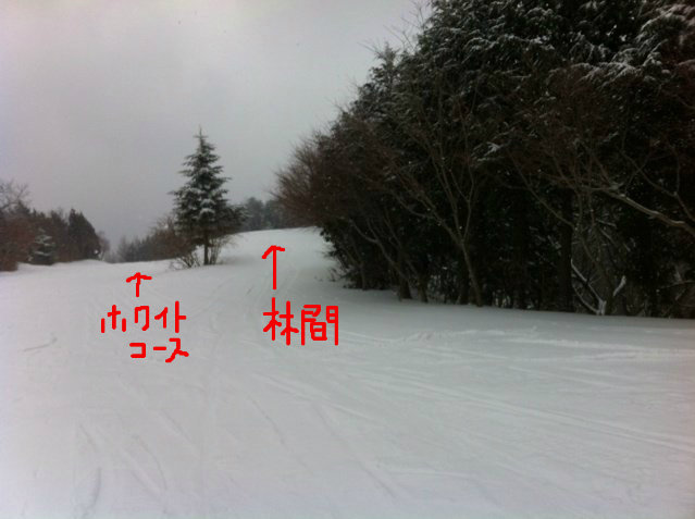 花見山スキー場ホワイトロングコースの状況 続き とチャンピオンコース ひろぺいんのブログ
