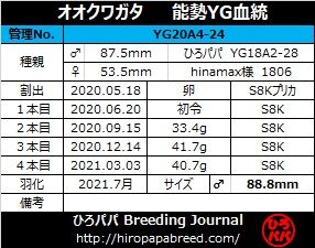 YG20A4-24ラベル